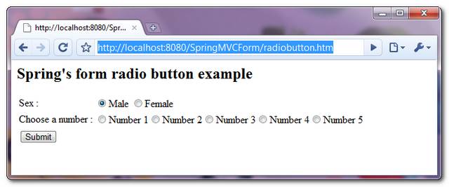 SpringMVC-RadioButton-Example-1
