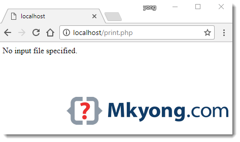 nginx no input file specified php fastcgi