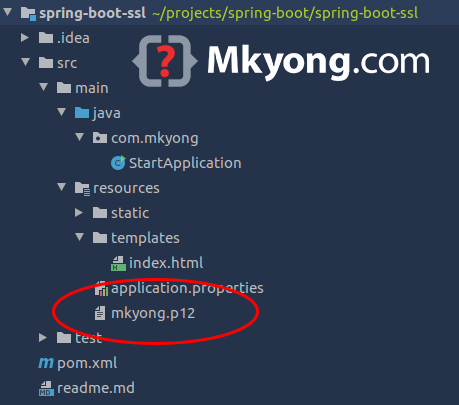 spring mkyong