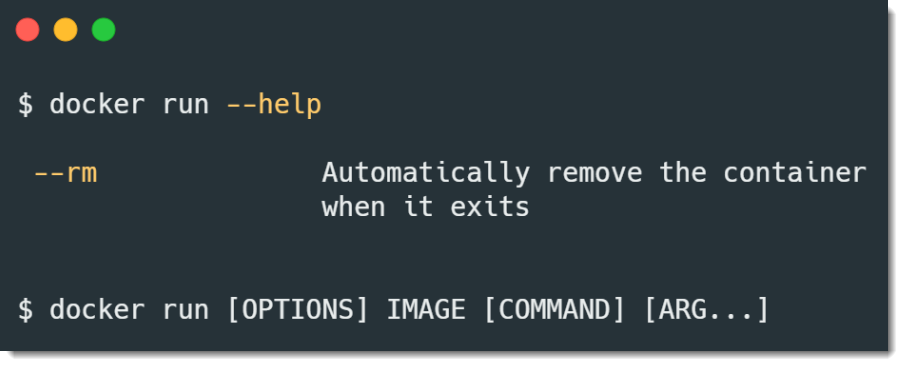 docker run image command